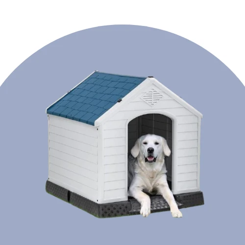 Dog Houses