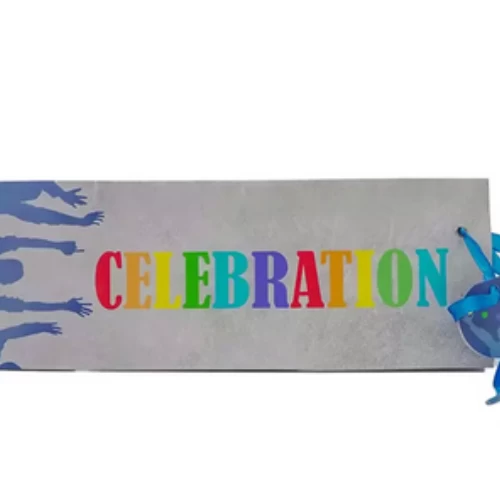 Celebration Party Paper Bag with Ribbon Handle- Blu