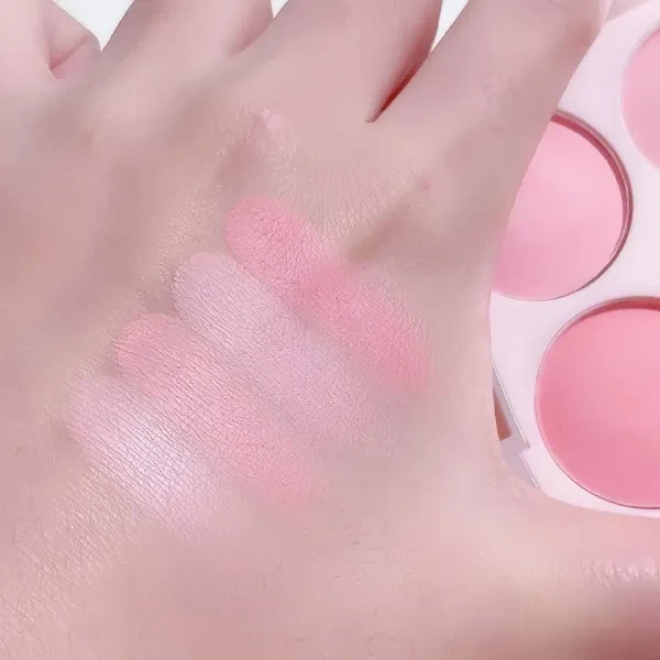 4 In 1 Face Grooming Pure Natural Facial Cheek Enhancer Waterproof Women Blush P