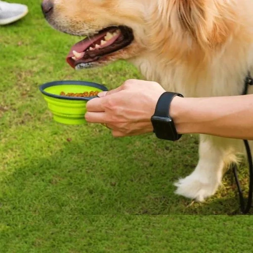 Set Of 2 Pieces Dog Cat Water Food Bowl And Storage Bottle, Portable Water Dispe