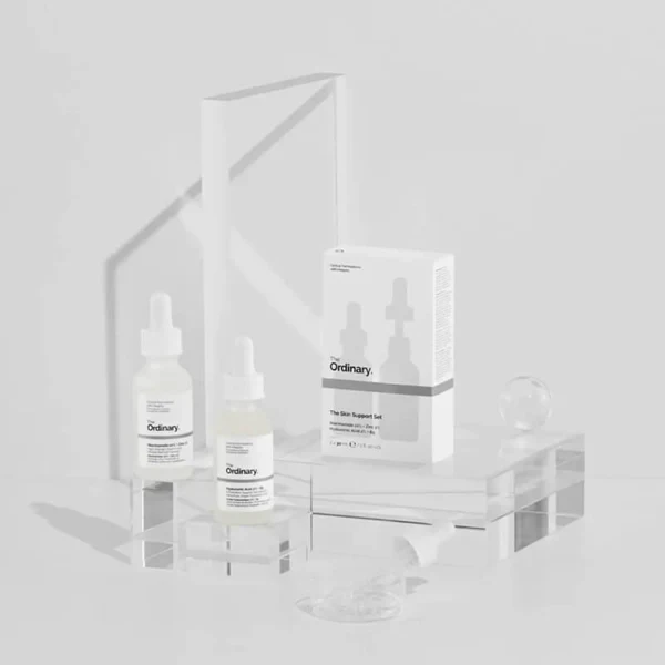 The Ordinary 2 Pack Niacinamide 10% + Zinc 1% 30ml Pack of 2