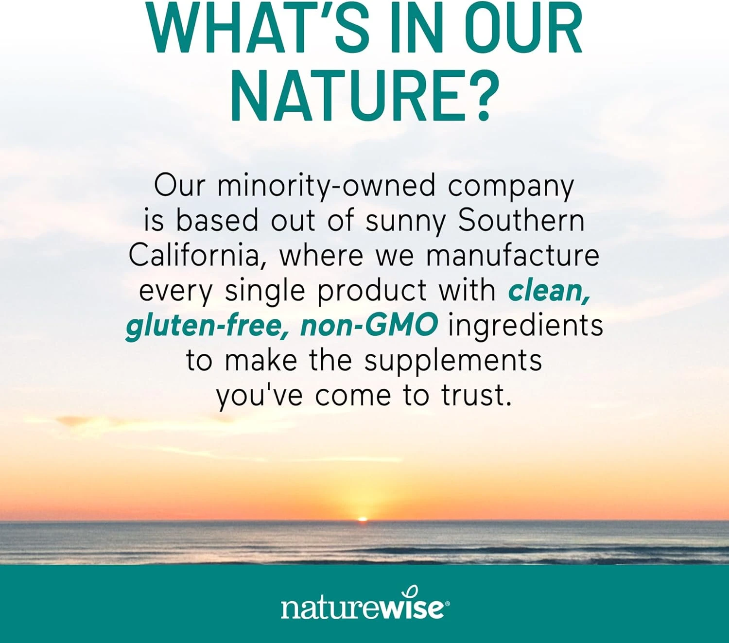 NatureWise Extra-Strength Omega 3 Fish Oil Supplement - 1000mg per Serving - 600