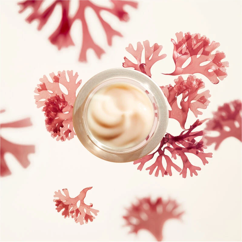 Shiseido Ginza Tokyo SKN BNF WRI SMOOTHING CREAM, SKN BNF WRI SMOOTHING CREAM, 0