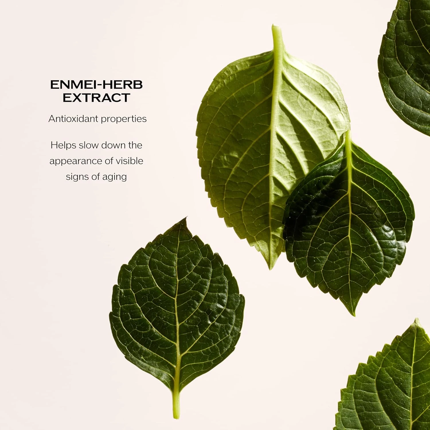 Shiseido Future Solution Lx Eye Lip Contour Regenerating Cream, Multi, 0.61 Ounc