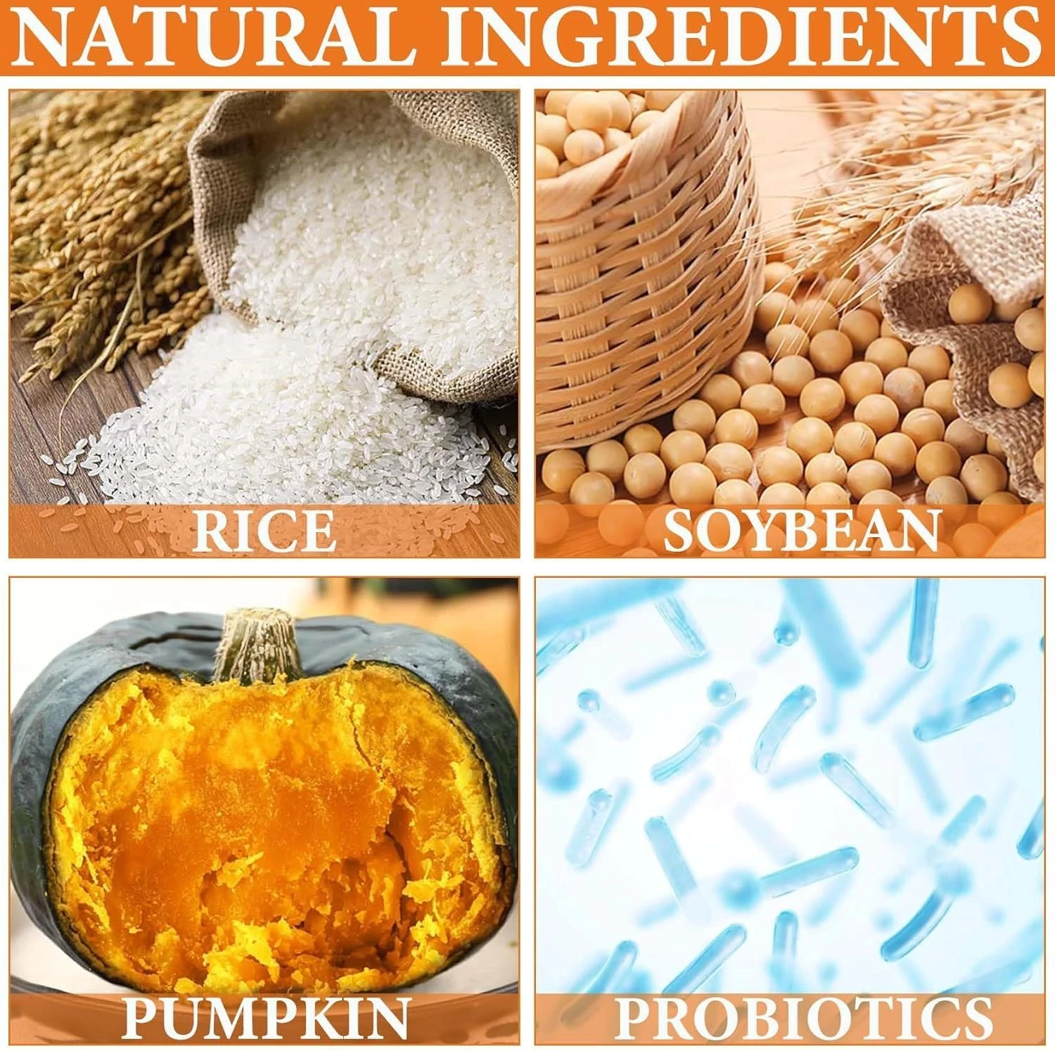 KASTWAVE Facial Sunscreen with Rice Serum, SPF50 PA+++ Daily Relief Sunscreen, D