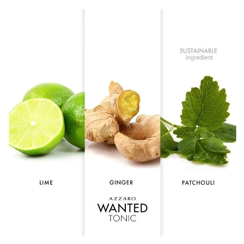 Azzaro Loris Wanted Tonic Eau De Toilette Spray 100ml/3.4oz