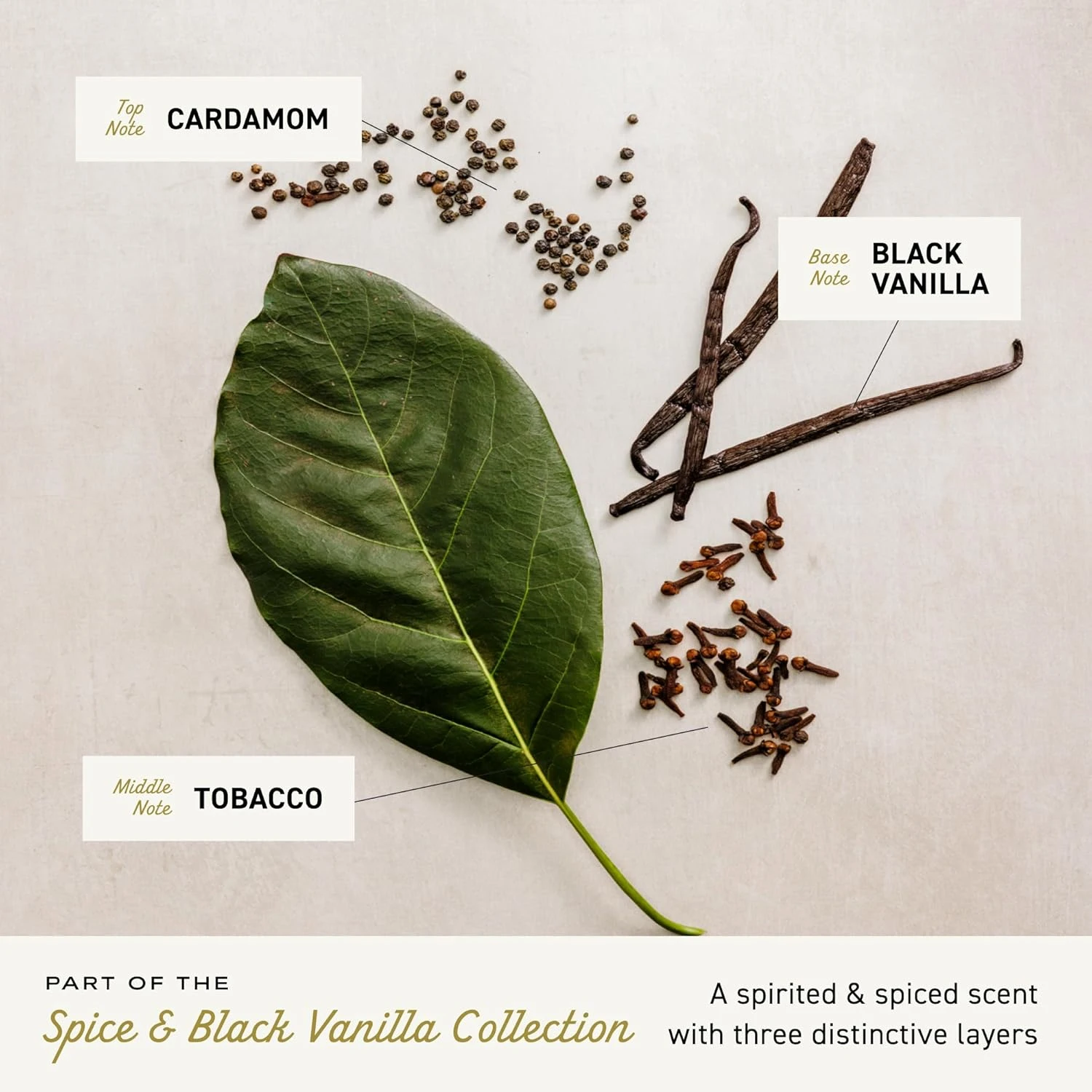 Cremo Spice & Black Vanilla Cologne Spray, An Explosion of Vibrant Spices, Tobac