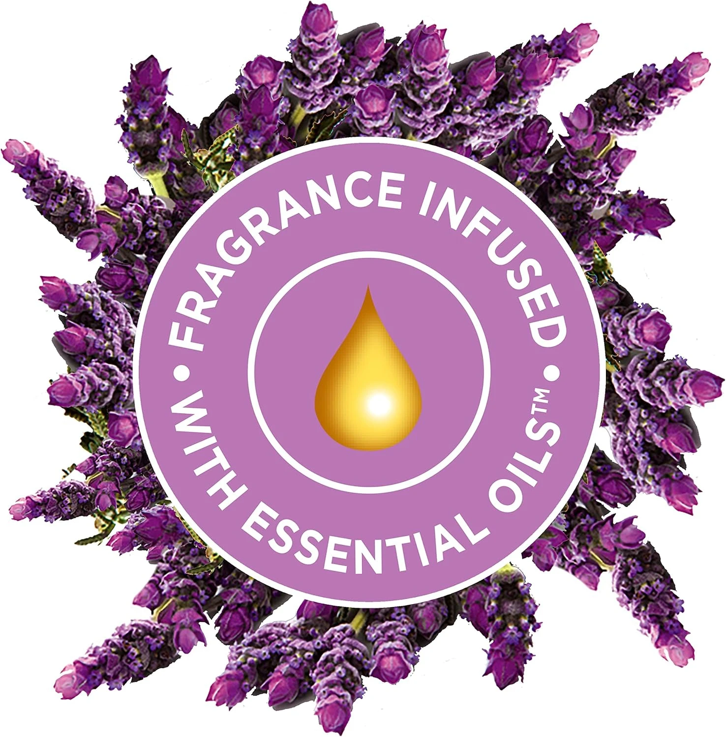 Glade Aerosol Lavender Air Freshener, Refresh Every Room In Your Home, 300ml