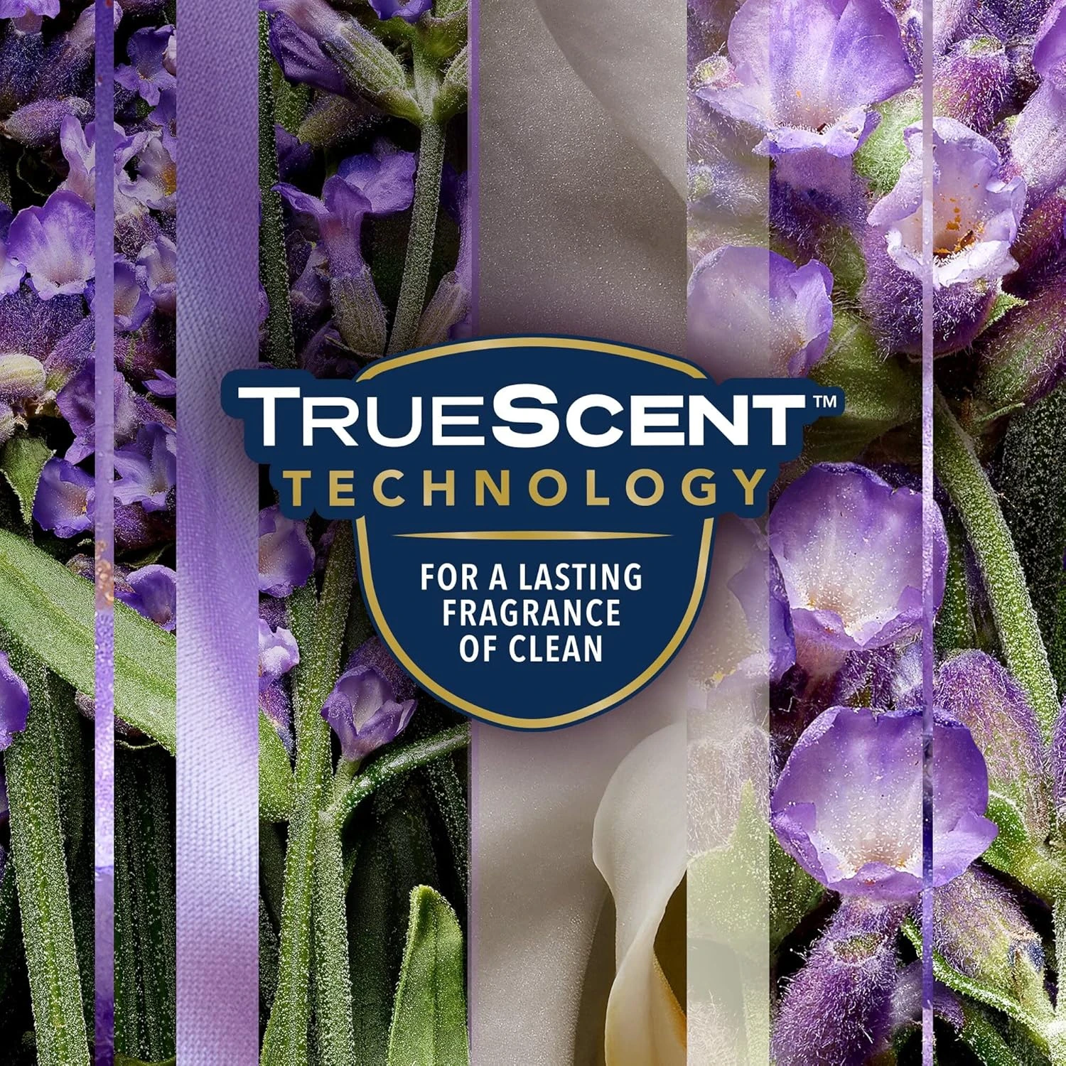 Glade Aerosol Lavender Air Freshener, Refresh Every Room In Your Home, 300ml