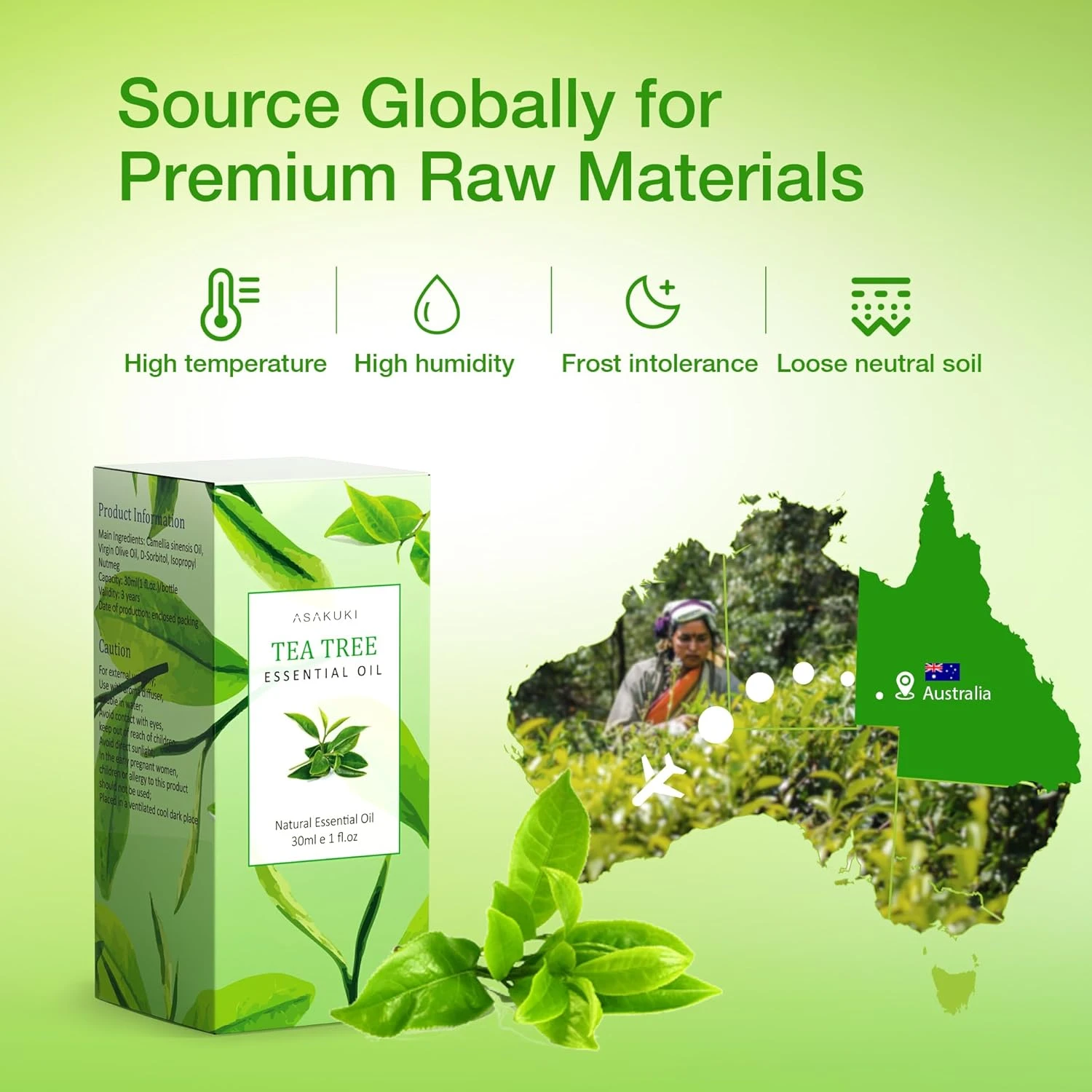 ASAKUKI Tea Tree Essential Oils 30ml, 100% Natural Therapeutic Grade, Aromathera