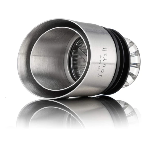 NEW PACIFIC YOUYAH Red Wine Carafe Wine Decanter With Built-in-Aerator, Stainles