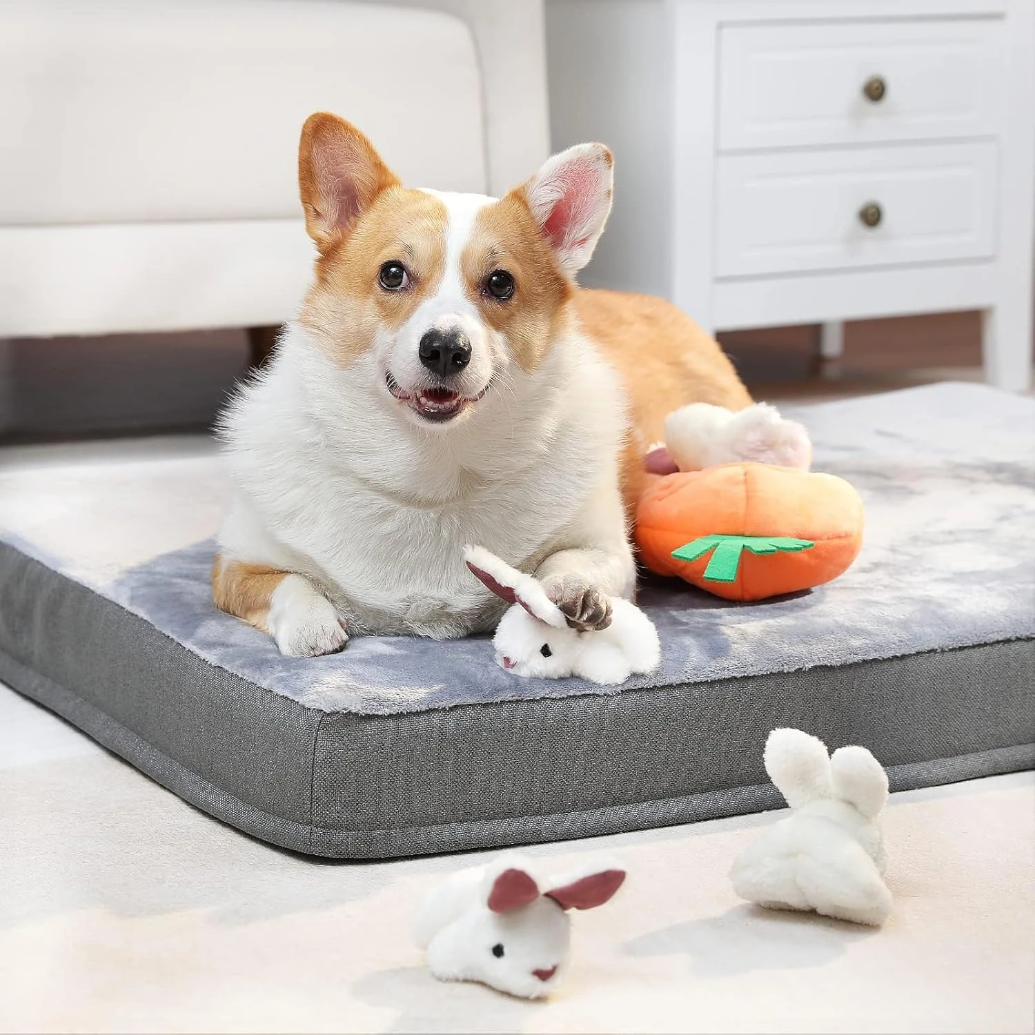 Basics Rabbit and Carrot Puppy/Dog Toys for Hide and Seek with Soft Plush, 5 Cou