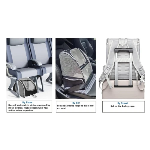 Texsens Innovative Traveler Bubble Backpack Pet Carriers for Cats and Dogs (Grey