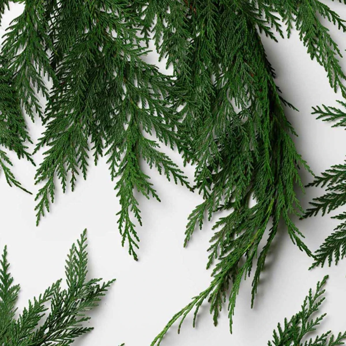 ralph lauren Polo Deep Blue For Men Parfum 125 ml